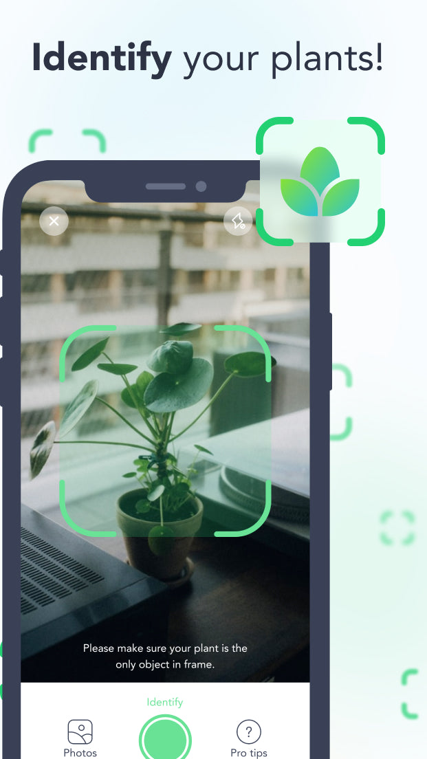 Gift Flora Plus - 1 Year Subscription