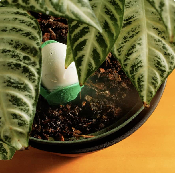 Flora Pod™ - Earth's Smartest Plant Monitor Flora