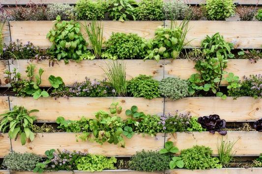 Best Vertical Garden Ideas for 2022 Flora