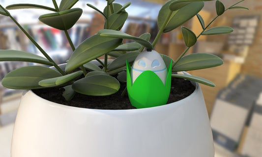 Flora releases a personal carbon-offset tracker Flora