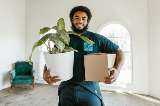 Person moving with a cardboard box, a potted plant, and an empty white room with a green armchair
