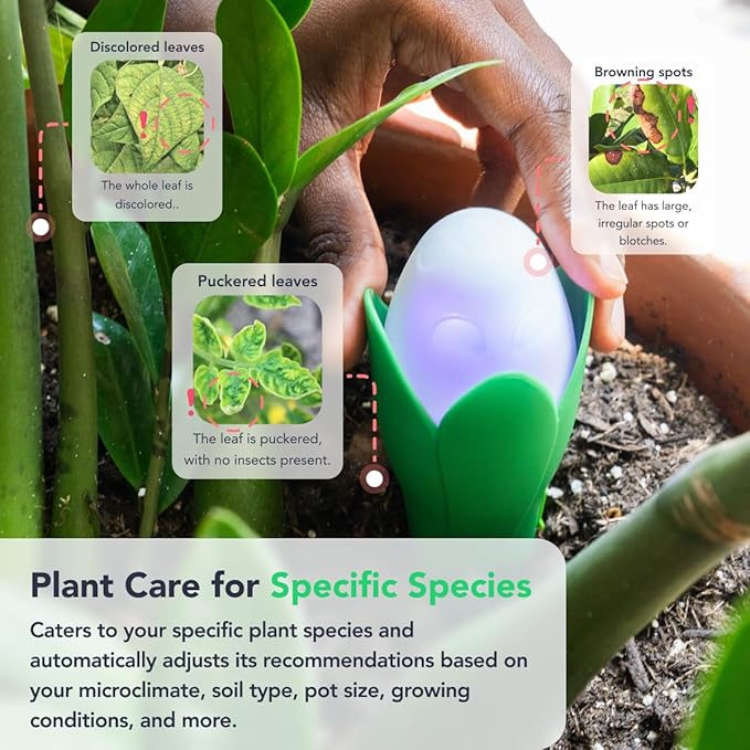 Flora Pod™ - Earth's Smartest Plant Monitor