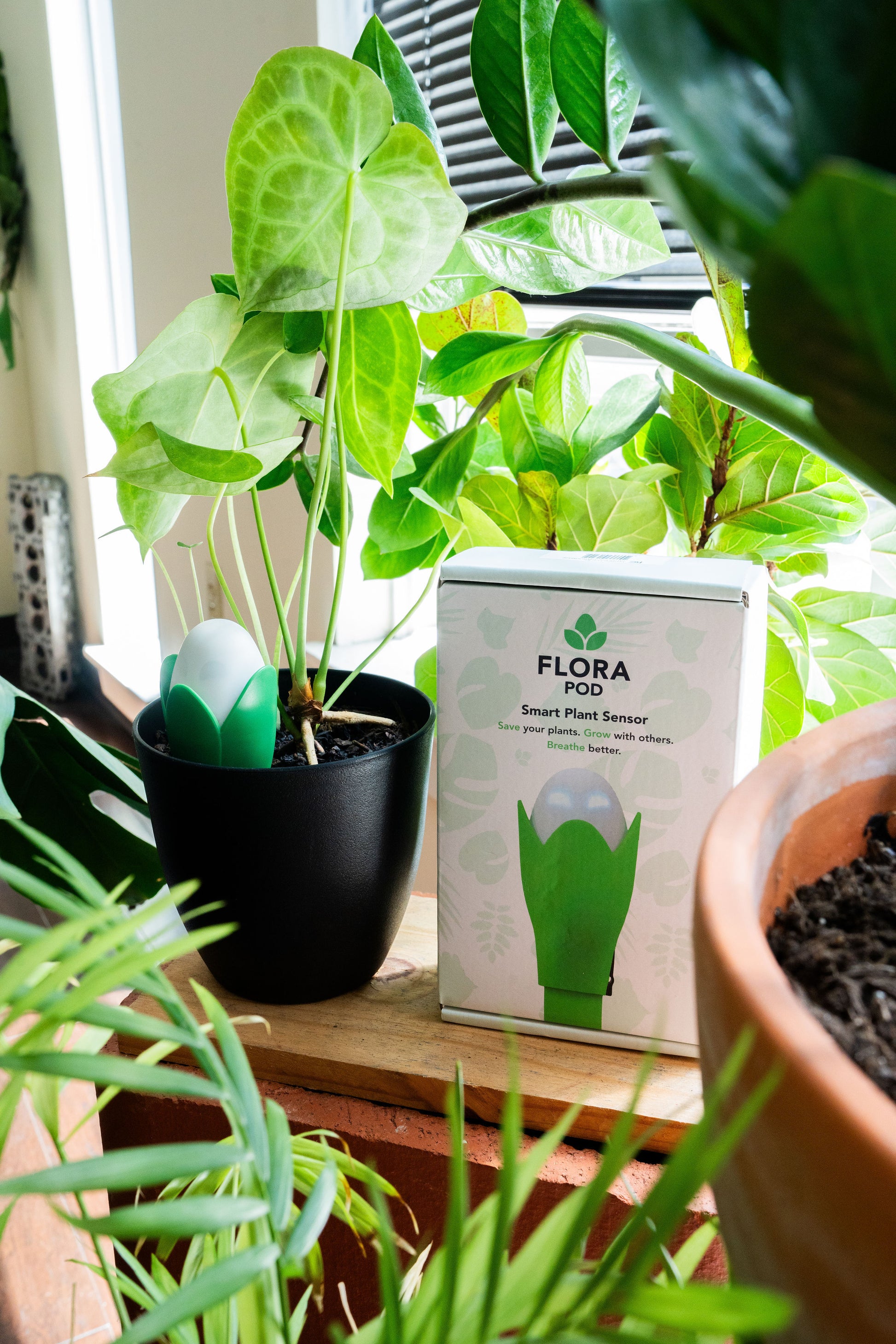 smart plant pots Flora Pod™