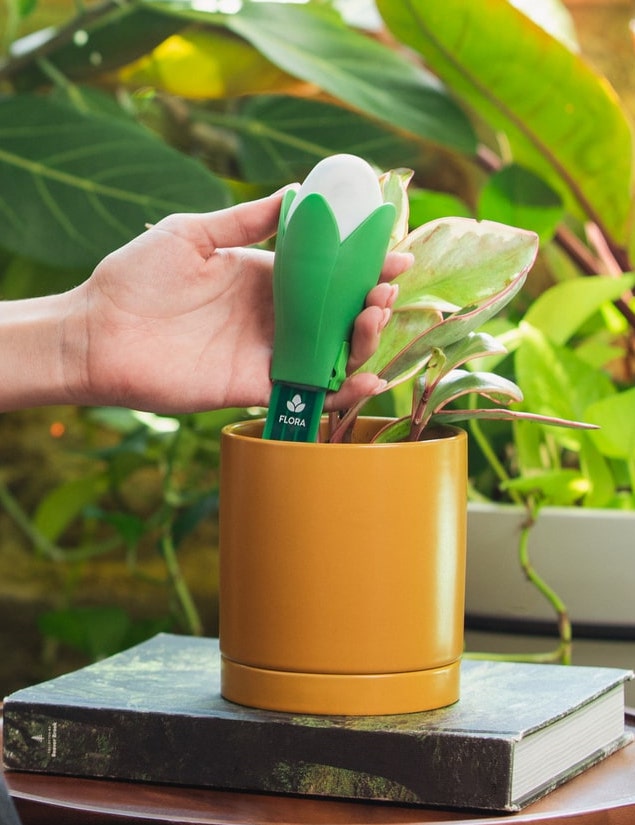 Flora Pod™ - Earth's Smartest Plant Monitor