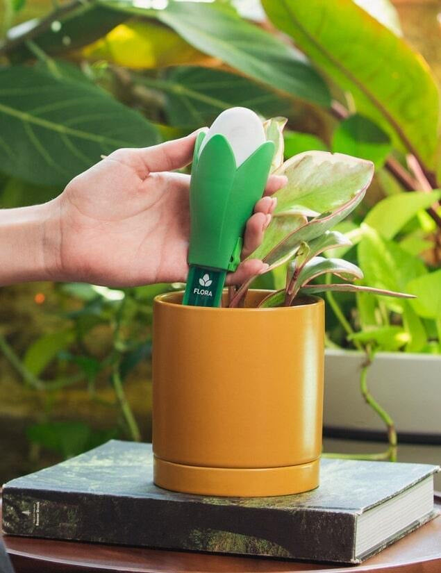 house plant self watering devices Flora Pod™