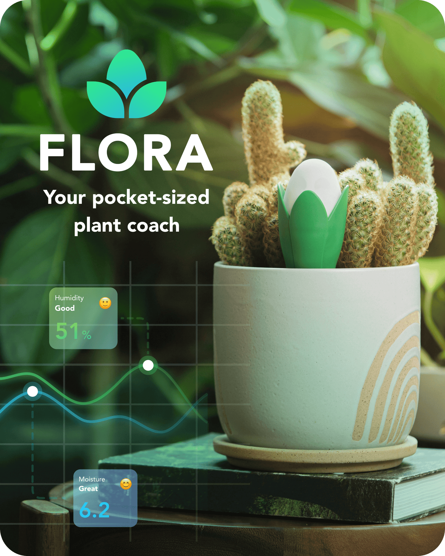 Flora Pod in Plant