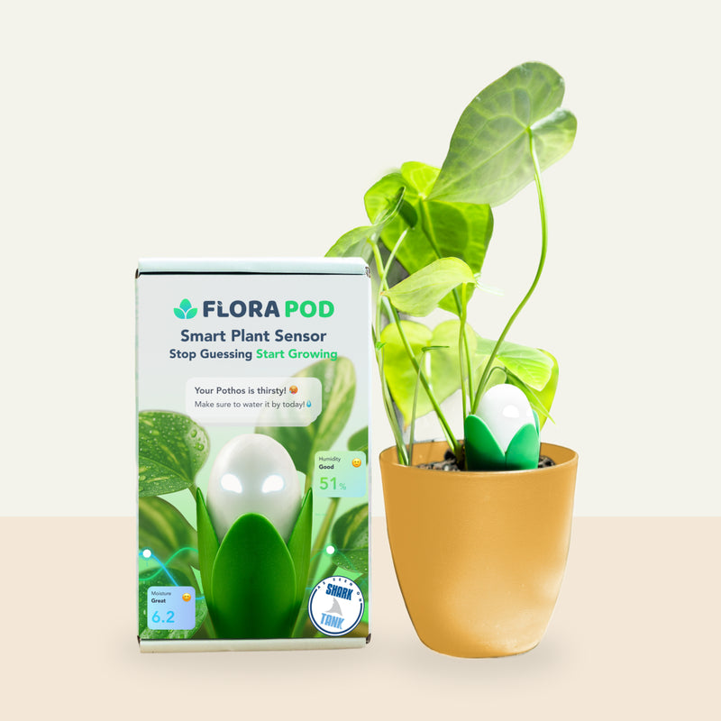 As Seen on Shark Tank | Flora Pod Smart Plant Sensor