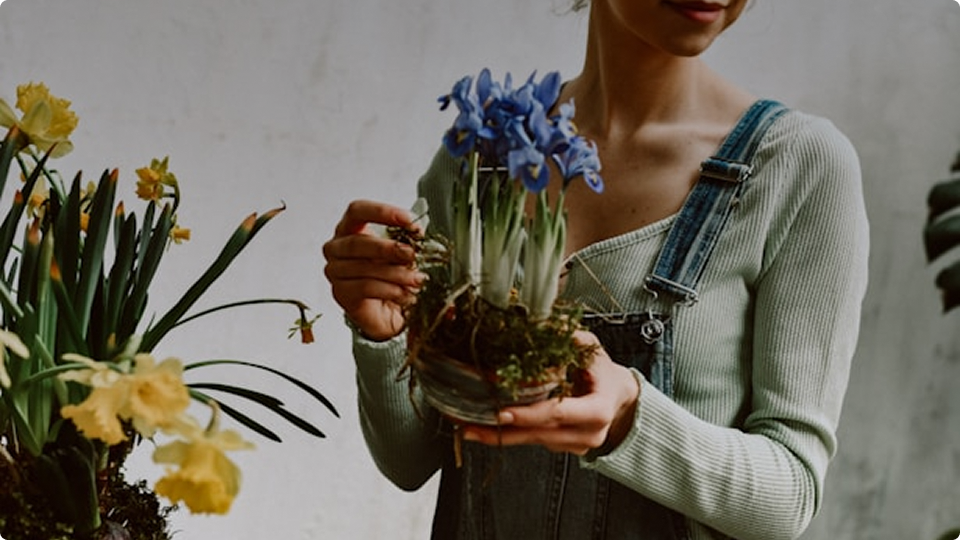 Flora saved my fiddle leaf fig - twice.