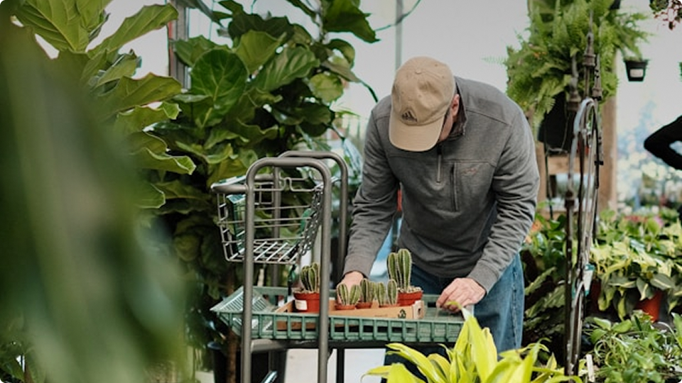 It feels like I'm reading my plants' minds