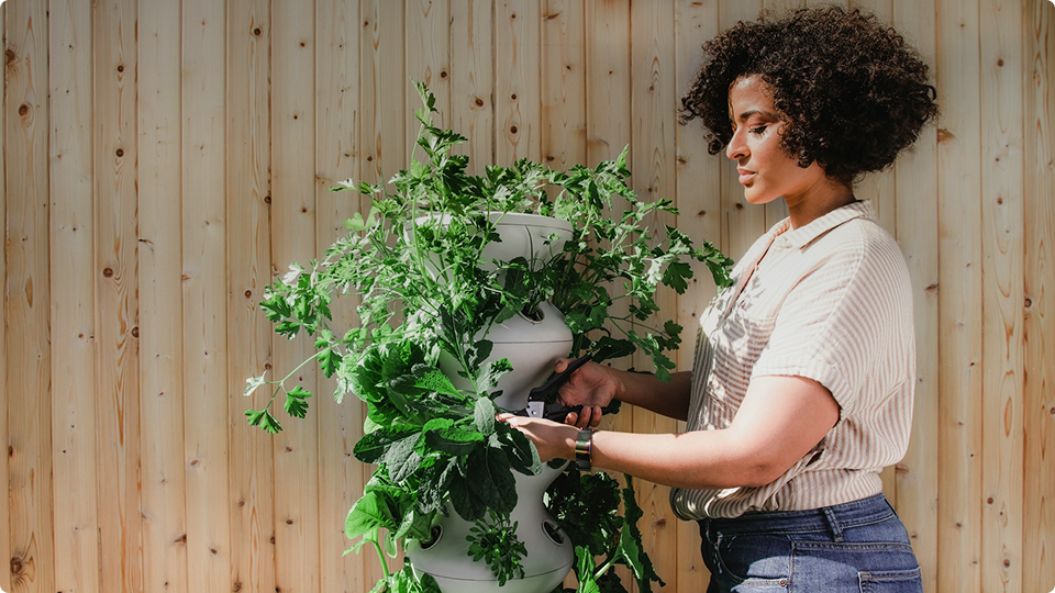 I've never felt more connected to my space.