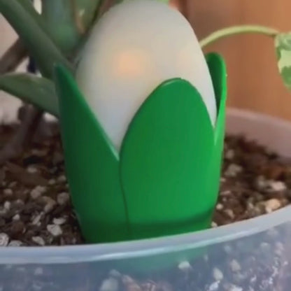 Flora Pod™ - Earth's Smartest Plant Monitor